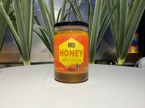 japonese_raisin_tree_1